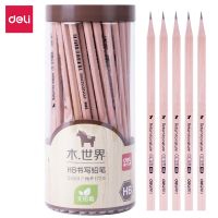 得力S950-HB 2b 書寫鉛筆(原木色)(72支/筒) HB鉛筆 2B鉛筆 S951